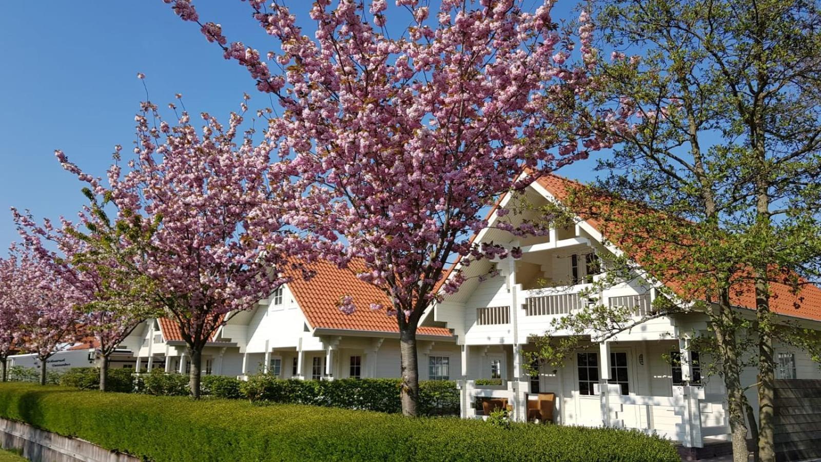 Holiday Park Dennenbos Oostkapelle Luaran gambar