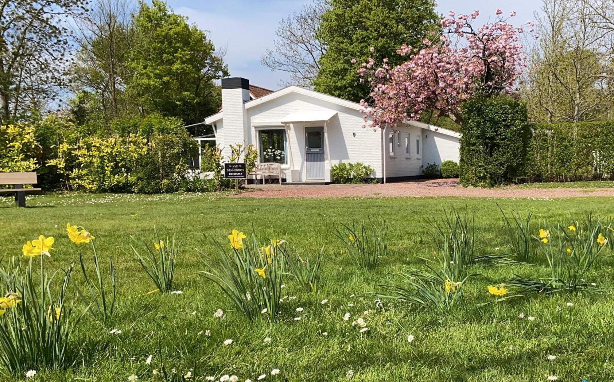 Holiday Park Dennenbos Oostkapelle Luaran gambar